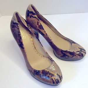 Coach snake print high heals